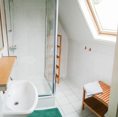 a bathroom with a shower and a sink at Leonie 6 pers holiday home with a large garden close to the Lauwersmeer in Anjum