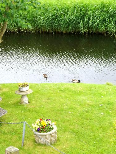 two ducks swimming in a pond with a flower pot at Leonie 6 pers holiday home with a large garden close to the Lauwersmeer in Anjum