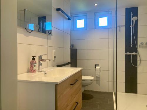 a bathroom with a sink and a toilet and a shower at 6pers. Lauwersmeer Lakefront. Nirvana house with sauna, pellet stove in Anjum