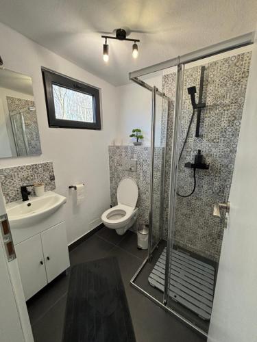 a bathroom with a shower and a toilet and a sink at Tiny Houses Transfagarasan in Cîrţişoara