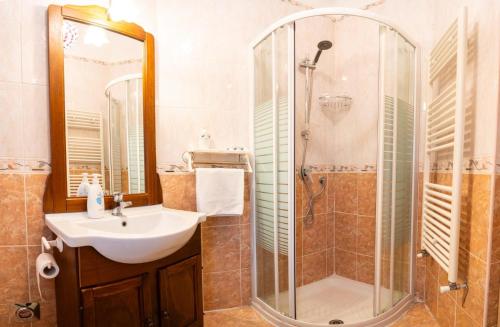 ein Bad mit einem Waschbecken und einer Dusche in der Unterkunft Accogliente bilocale posizione strategica in Moncalieri