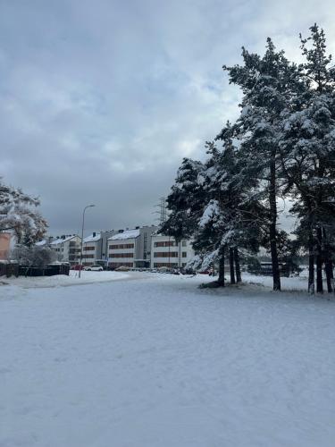 a snow covered field with trees and a building at Celine Apartments in Lębork