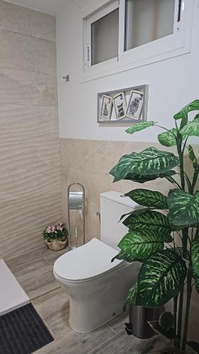 ベナルマデナにあるNueva Torrequebradaのバスルーム(トイレ、植物付)