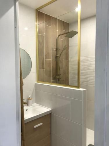 une salle de bain avec un lavabo et un miroir dans l'établissement Gîte 2 chambres tout confort, à Tournon-Saint-Pierre