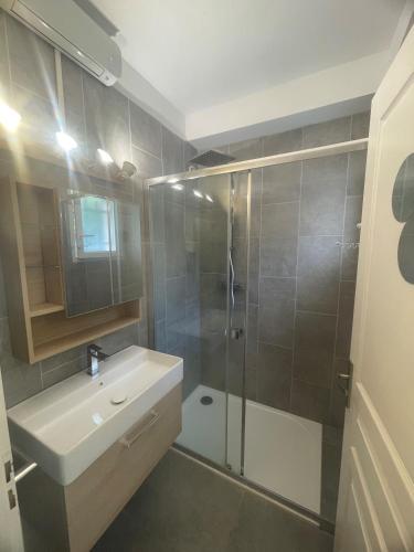 une salle de bain avec une douche, un lavabo et un miroir dans l'établissement Studio 28 m2 PORTICCIO Centre, à Porticcio