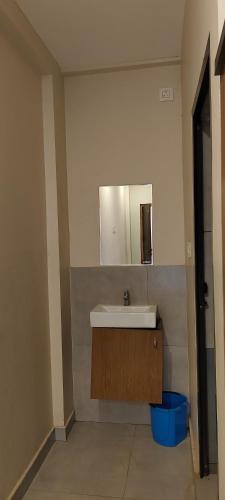 Panamaram的住宿－Remarita Holidays，浴室设有水槽和墙上的镜子