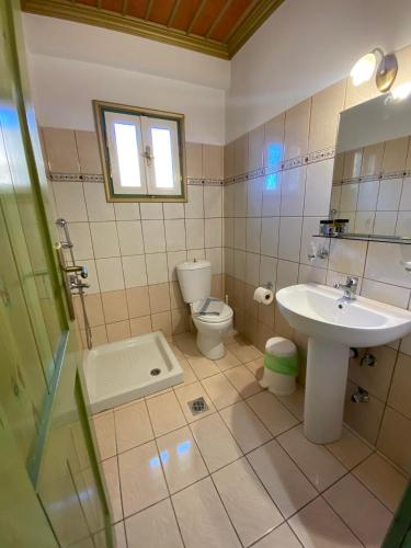 a bathroom with a sink and a toilet at Hotel Zagori in Skamnéllion