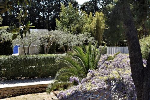 a garden with purple flowers and trees and a fence at Villa Aurea in Ispica