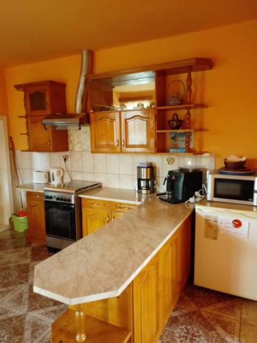 a kitchen with wooden cabinets and a counter top at Timi Kulcsosház in Lăzarea