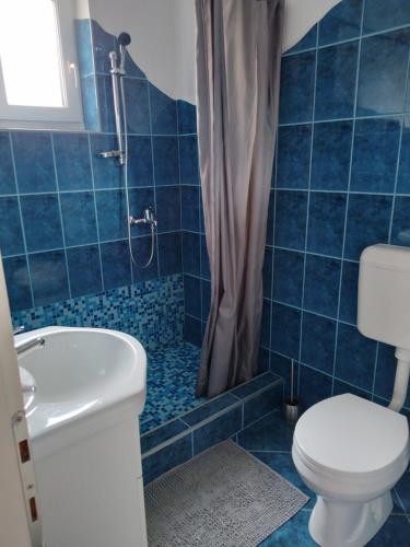 ein blau gefliestes Bad mit einem WC und einer Dusche in der Unterkunft Timi Kulcsosház in Lăzarea