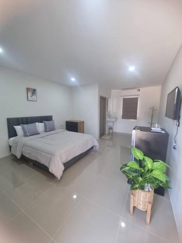 ein Schlafzimmer mit einem Bett und einer Topfpflanze in der Unterkunft Rest at Thachang Hotel in Ban Hua Han