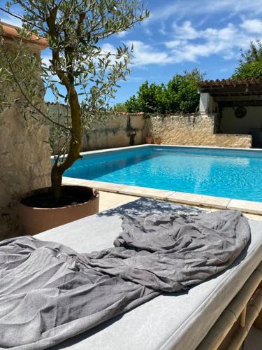 un matelas à côté d'une piscine avec un arbre dans l'établissement Maison d'Amis, à Salles-Lavalette