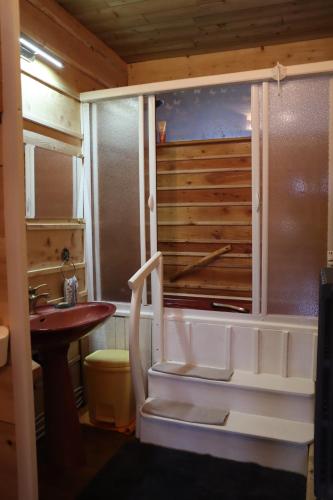 ein Badezimmer mit WC und Waschbecken und einige Treppen in der Unterkunft La Verte Salamandre in Allanche