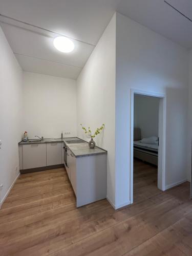 O bucătărie sau chicinetă la Möbliertes 2-Zimmer-Apartment - Mannheim Käfertal