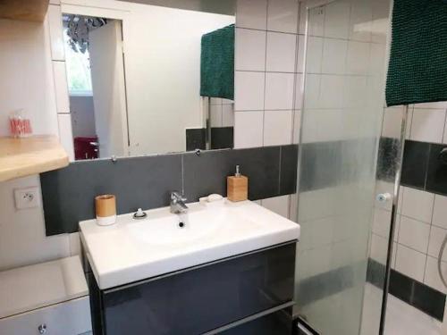 une salle de bain avec un lavabo blanc et une douche dans l'établissement Appartement avec jardin au calme, à Montreuil