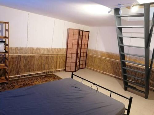 une pièce vide avec un lit et une échelle dans l'établissement Appartement avec jardin au calme, à Montreuil