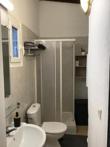 une salle de bain avec toilettes, lavabo et douche dans l'établissement Gîtes et Astrotourisme en Corse, à Erbajolo