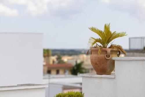 a plant in a pot sitting on a wall at La Loggetta in Ugento
