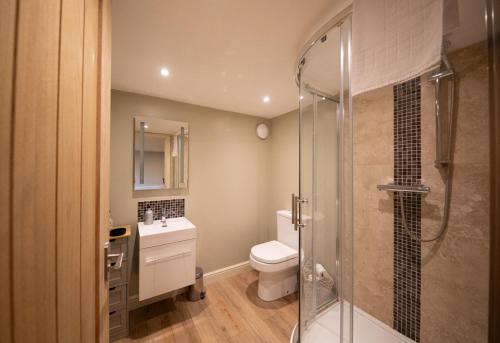 a bathroom with a toilet and a glass shower at The Pheasant Pub at Gestingthorpe Stylish Boutique Rooms in The Coach House in Gestingthorpe