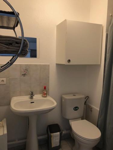 ein kleines Bad mit WC und Waschbecken in der Unterkunft Studio tout confort La Timone in Marseille