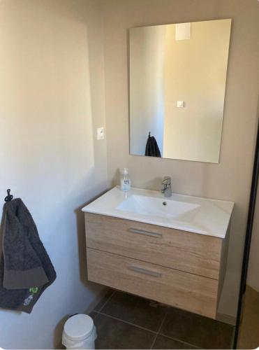 une salle de bain avec un lavabo et un miroir dans l'établissement Chambre au calme, à Creuzier-le-Vieux