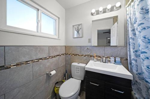 ein Badezimmer mit einem WC, einem Waschbecken und einem Spiegel in der Unterkunft Cozy 1 Bd Apt minutes walking downtown Ferndale in Ferndale