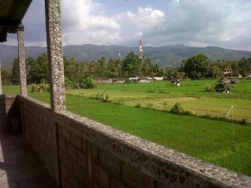 a view of a green field from a wall at Bali Bagus Hotel in Lovina
