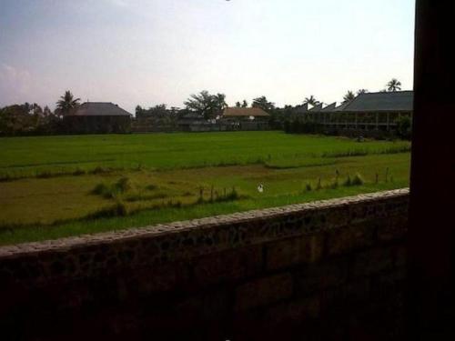 a field of green grass with houses in the background at Bali Bagus Hotel in Lovina