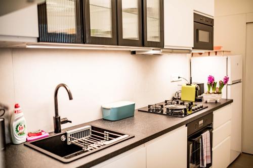 a small kitchen with a sink and a stove at Fritscher Apartments, s.r.o. in Prague