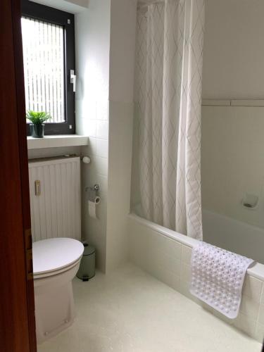 bagno bianco con servizi igienici e doccia di Appartement Abendsonne a Rotenburg an der Fulda