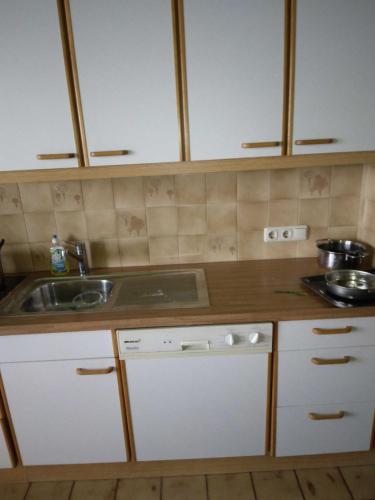 a kitchen with a sink and a counter top at Alpenstern in Biberwier