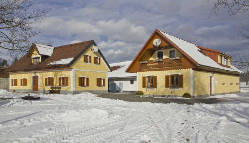 a house is covered in snow in a yard at Ermi Pracher in Groß Sankt Florian