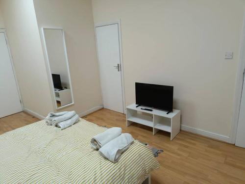 a living room with two beds and a television at Whole Flat Close To Wembley in Wealdstone
