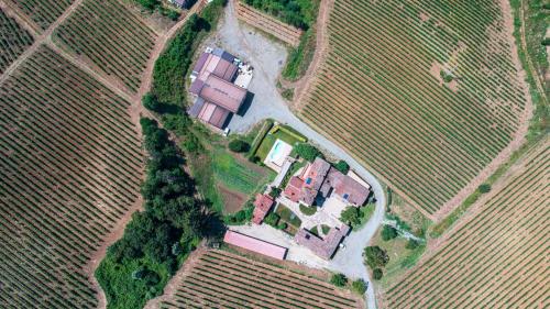an aerial view of a house in a field at Fontanassa ss in Gavi