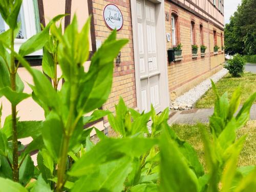 una porta bianca con un orologio sul lato di un edificio di Ferienwohnungen Landliebe "Auszeit mit Wohlgefühl" a Catharinau