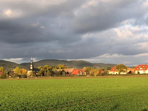 un campo verde con una città e una chiesa di Ferienwohnungen Landliebe "Auszeit mit Wohlgefühl" a Catharinau