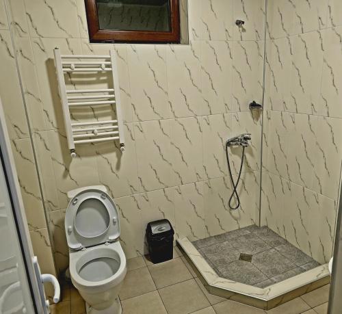 a bathroom with a toilet and a shower at Sunny hill in Gudauri