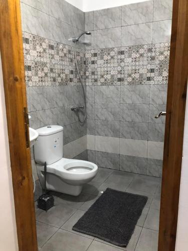 a bathroom with a toilet and a shower at Une belle maison à houmet souk in Houmt Souk