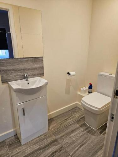 a bathroom with a white toilet and a sink at 1 Bedroom en suite ASHLAND, Milton keynes in Fenny Stratford