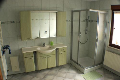 y baño con lavabo y ducha. en Ferienwohnung Rochlitzer Berg Blick, 