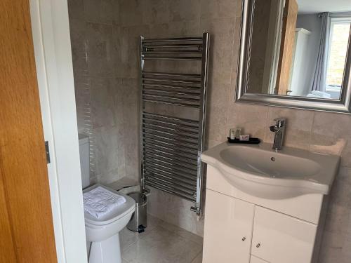 a bathroom with a sink and a toilet and a mirror at Alexander Park B&B in Ledbury
