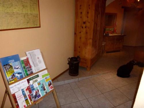 a black cat sitting on the floor in a room at Ferienwohnungen Manuela in Schottwien