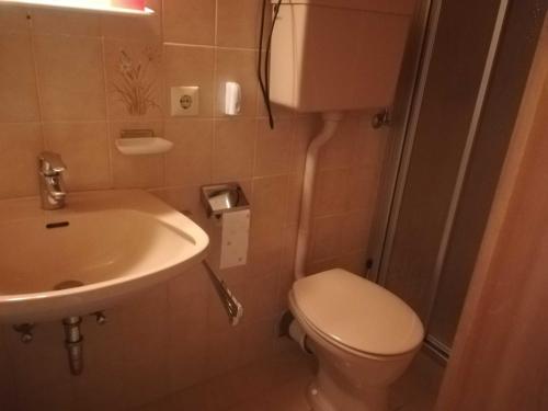La petite salle de bains est pourvue de toilettes et d'un lavabo. dans l'établissement Haus Meissnitzer, à Radstadt