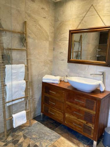 une salle de bain avec un lavabo et un miroir dans l'établissement Appartement avec jardin centre ville de Belfort, à Belfort