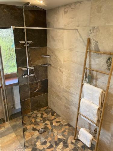 une douche avec une porte vitrée dans une salle de bain dans l'établissement Appartement avec jardin centre ville de Belfort, à Belfort