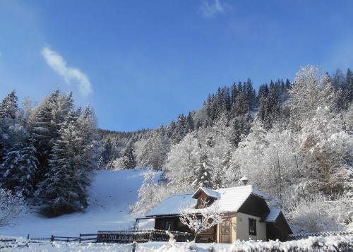 a house covered in snow next to a forest at Umundum Hütte in Katsch Oberdorf