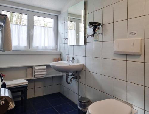 a bathroom with a sink and a toilet and a mirror at Hotel Dat greune Eck in Soltau