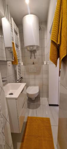 uma casa de banho branca com um WC e um lavatório em AMB center point em Ljubljana