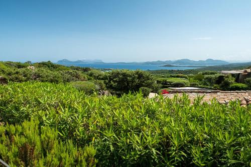 a view of a garden with the ocean in the background at [CALA DI VOLPE] Vista Mare e Piscina in Abbiadori