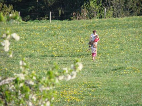 Hosté ubytování Pircherhof - Urlaub und Erholung im Troadkost'n